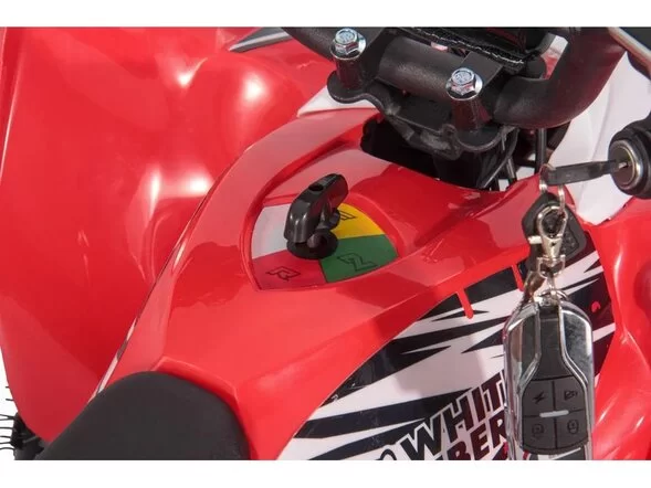 Детский электроквадроцикл WHITE SIBERIA SNEG LETO R 1000W